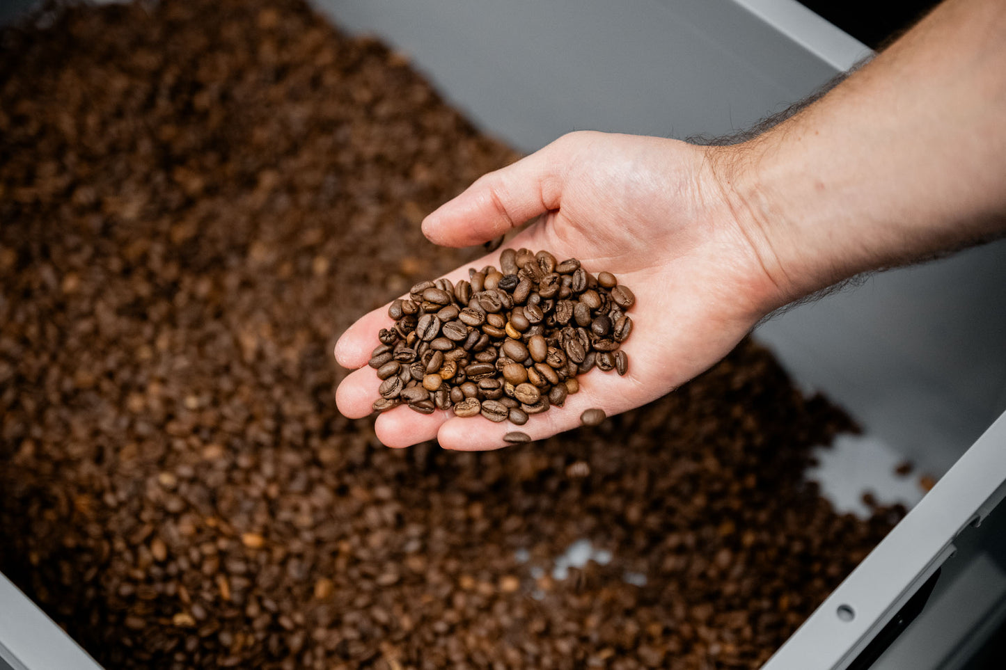Frisch geröstete Specialty Coffee Bohnen in der Hand – Precision Roasting Andres Kaffeemanufaktur Dornbirn Vorarlberg